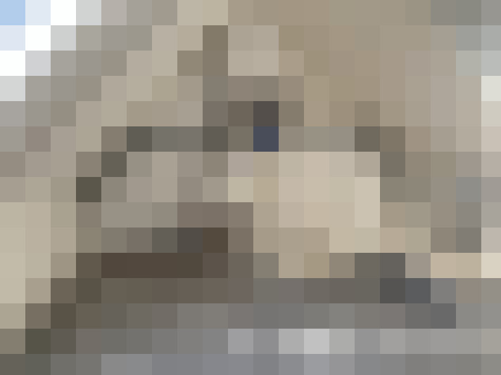  / #12