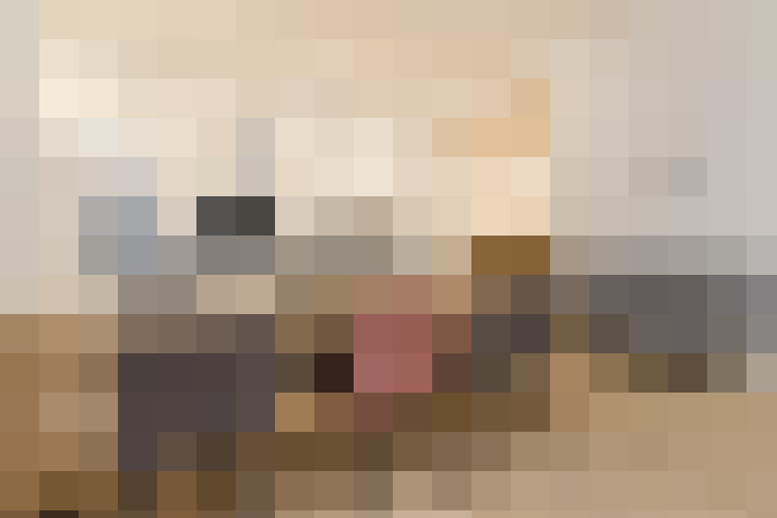  / #11
