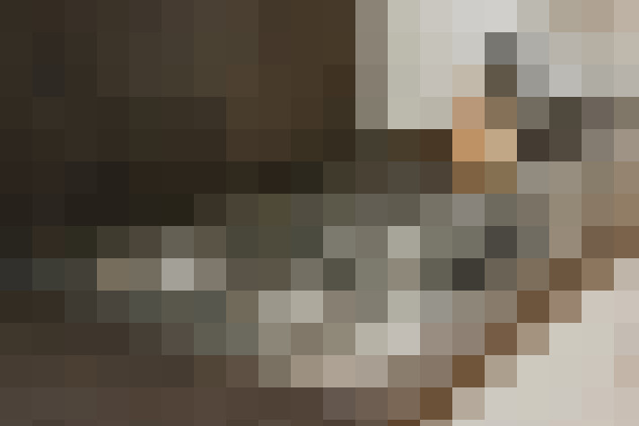  / #18