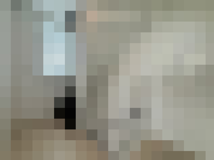  / #24