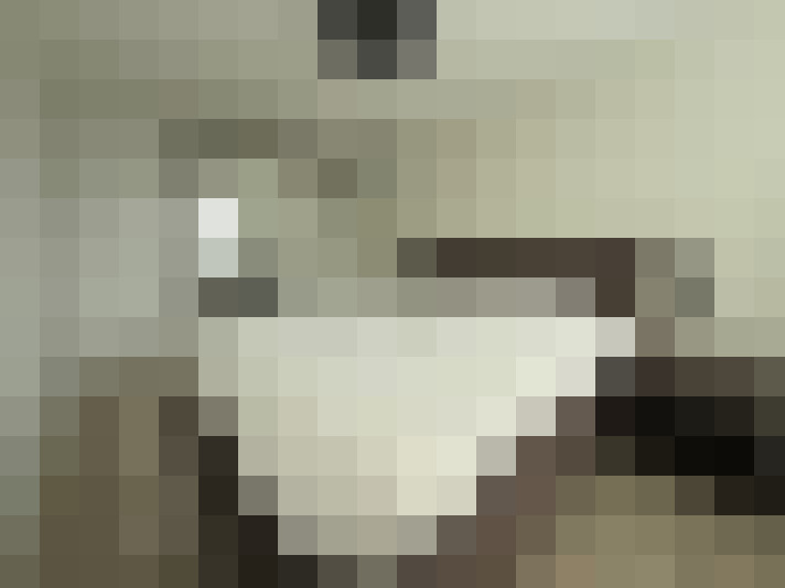  / #18