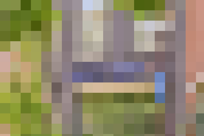  / #15