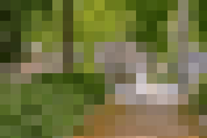  / #17