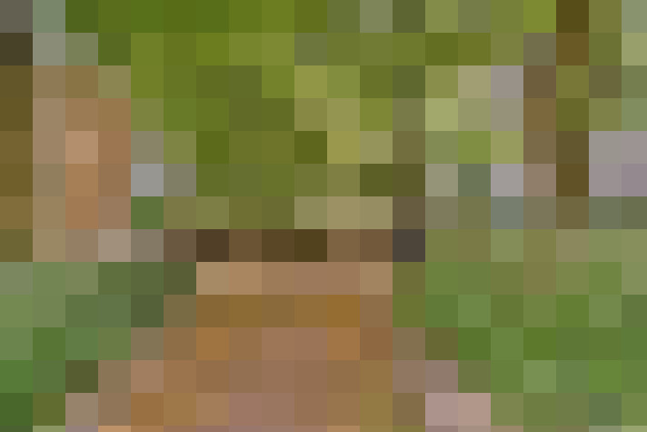  / #16