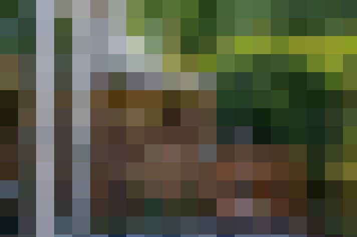  / #20