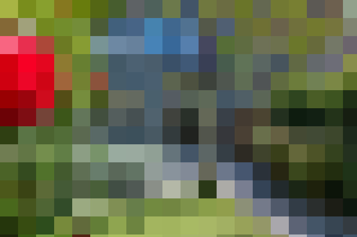  / #19