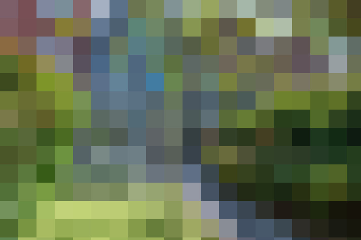  / #18