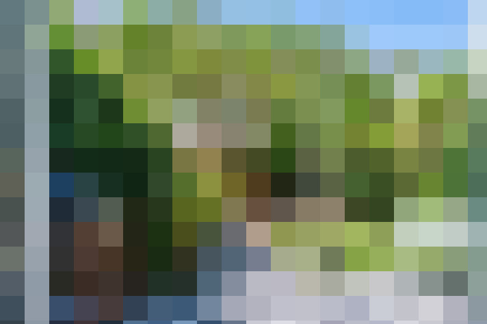  / #15
