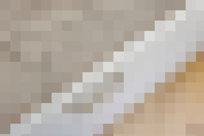  / #12