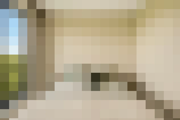  / #23