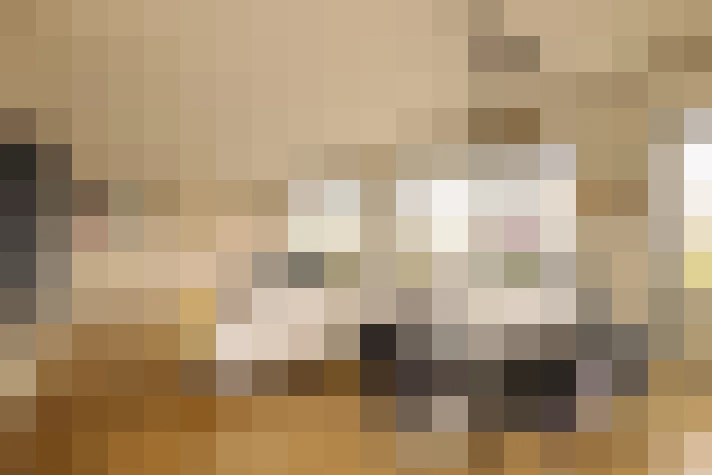  / #20