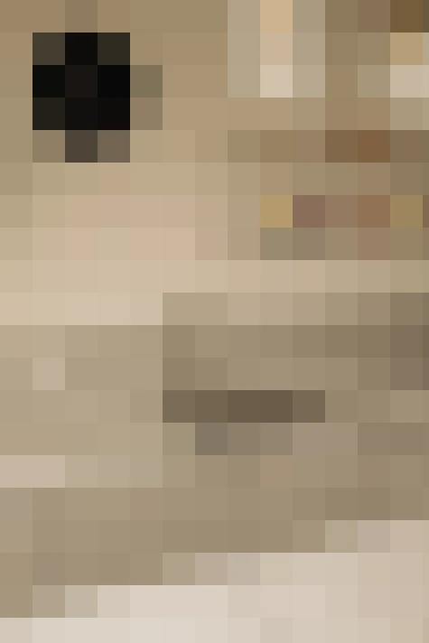  / #11