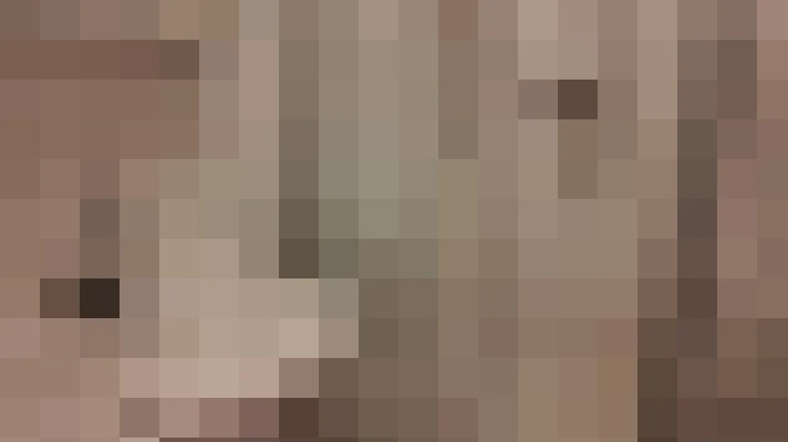  / #18