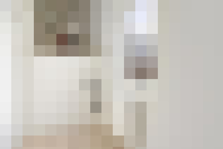  / #19