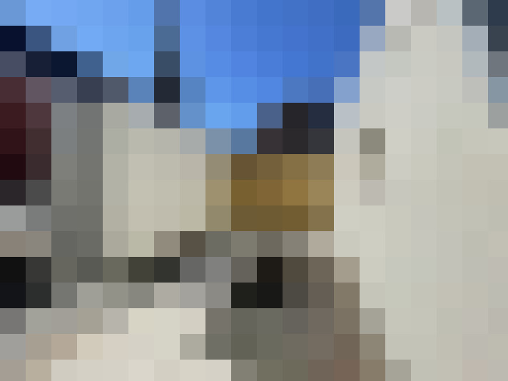  / #11