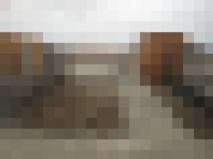  / #13