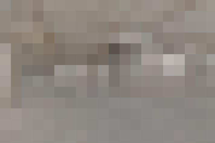  / #24