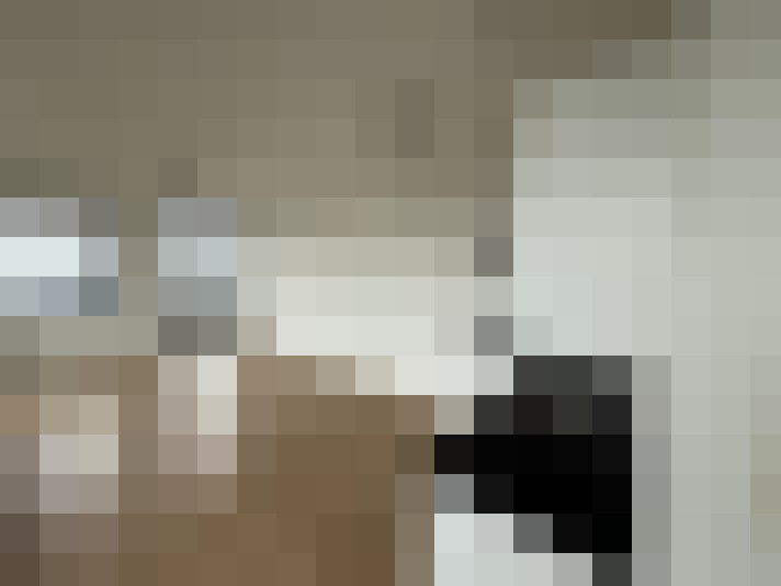  / #15
