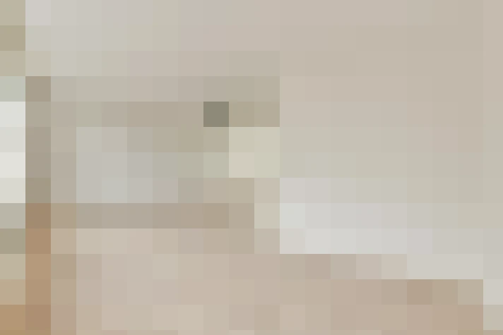  / #20