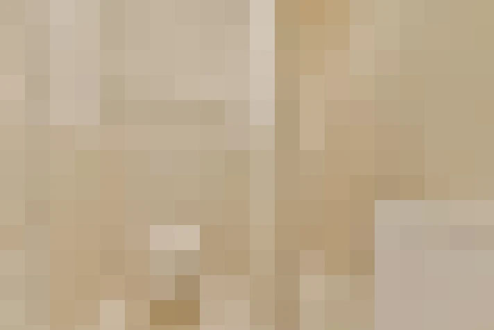  / #21
