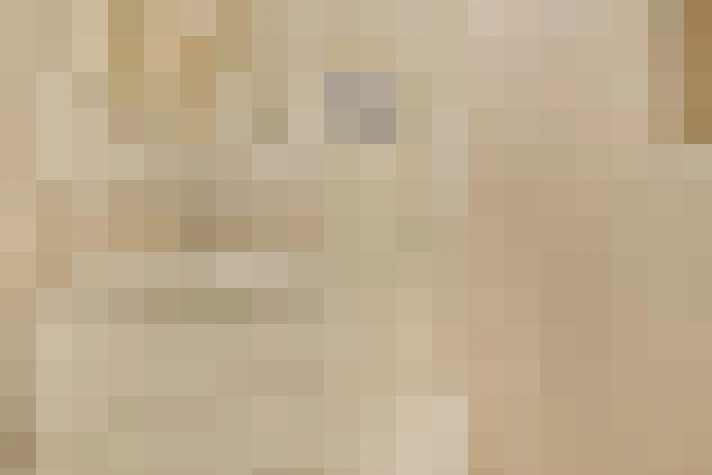  / #23