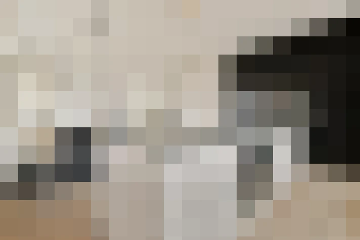  / #17