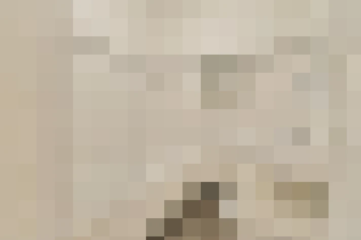  / #17