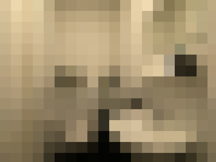  / #11