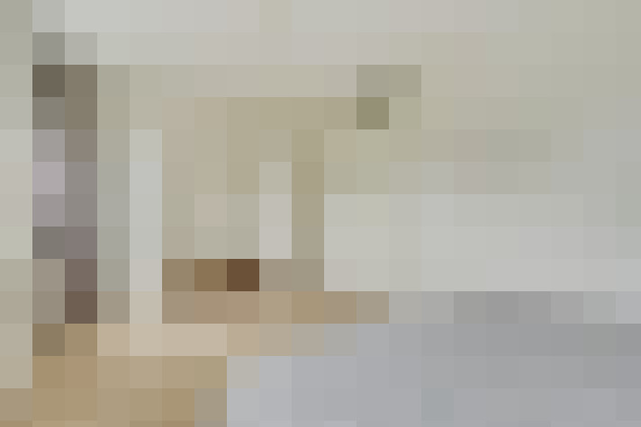  / #16