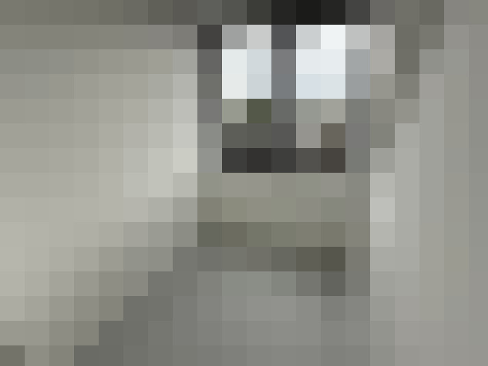  / #14