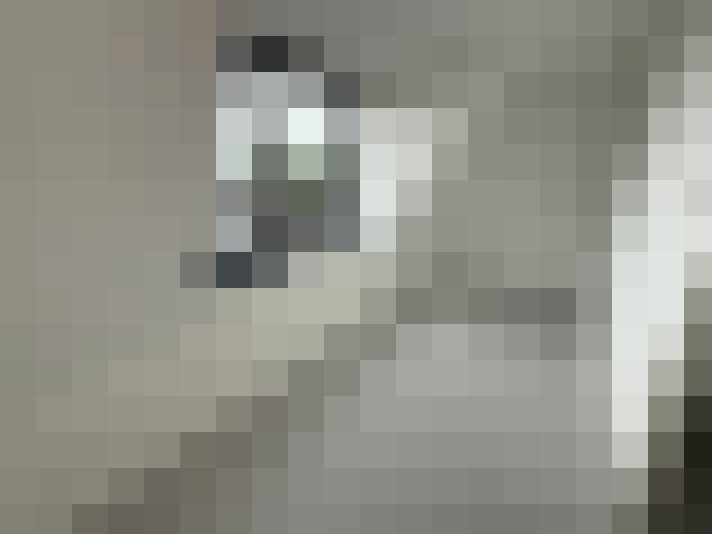  / #13