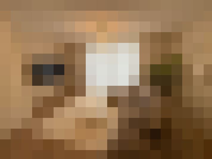  / #21