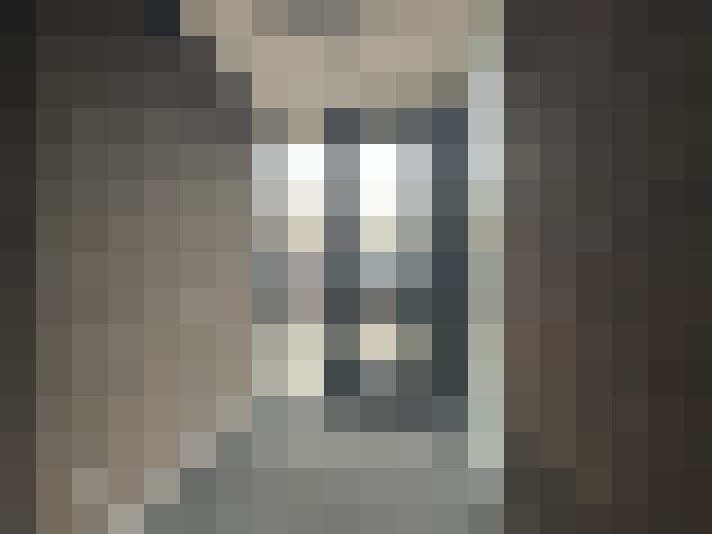  / #19