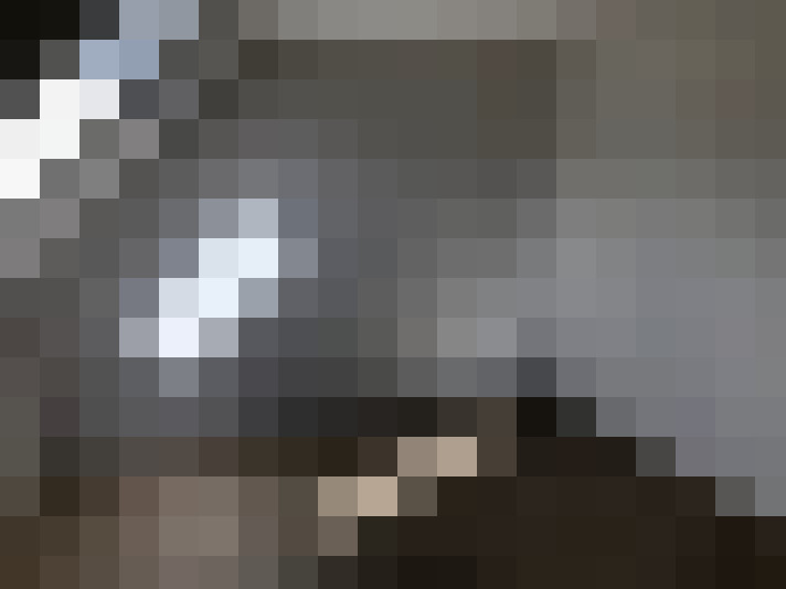  / #11