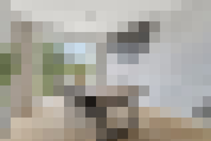  / #7
