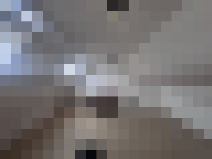  / #22