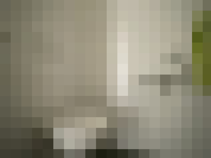  / #8