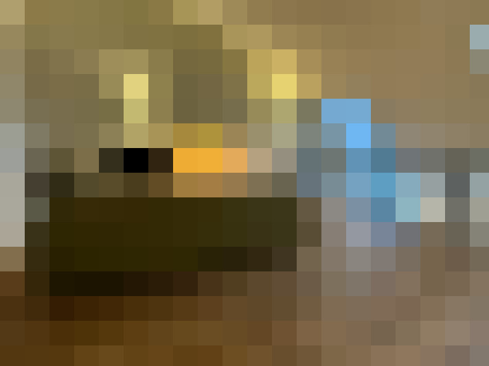  / #11