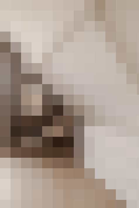  / #15