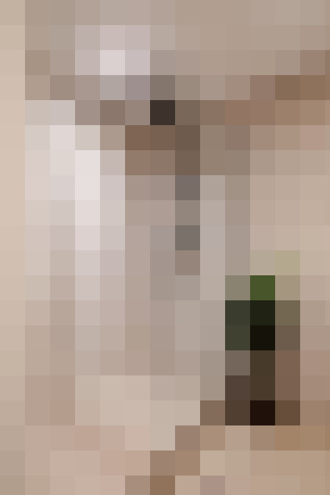  / #24