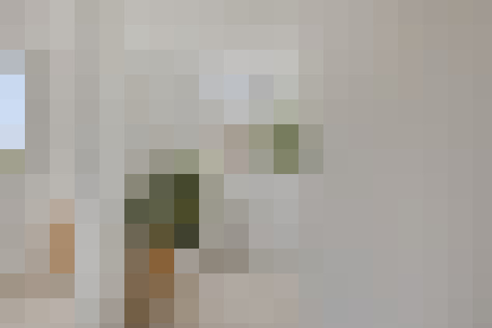  / #23