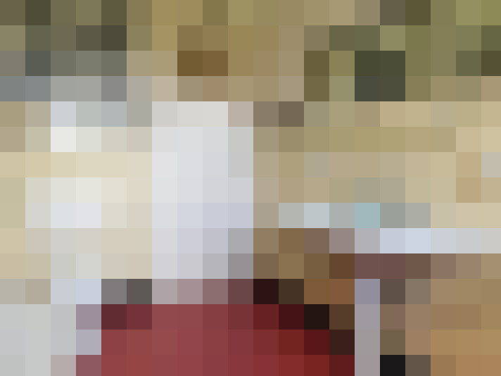  / #24