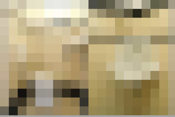  / #14