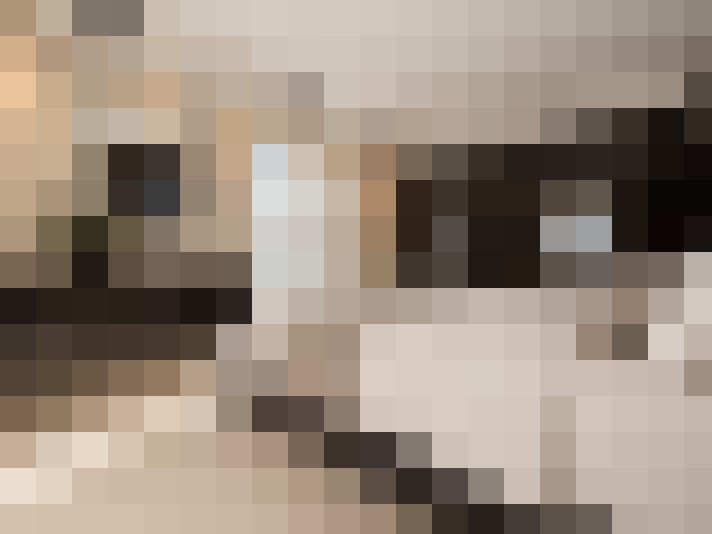  / #14
