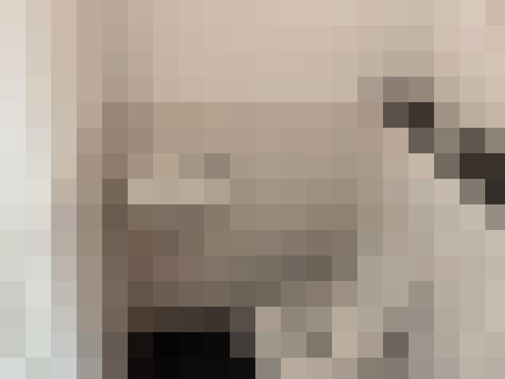  / #24