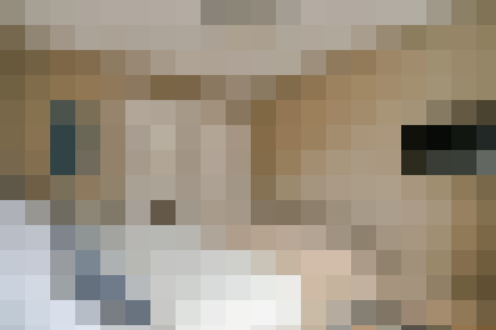  / #13