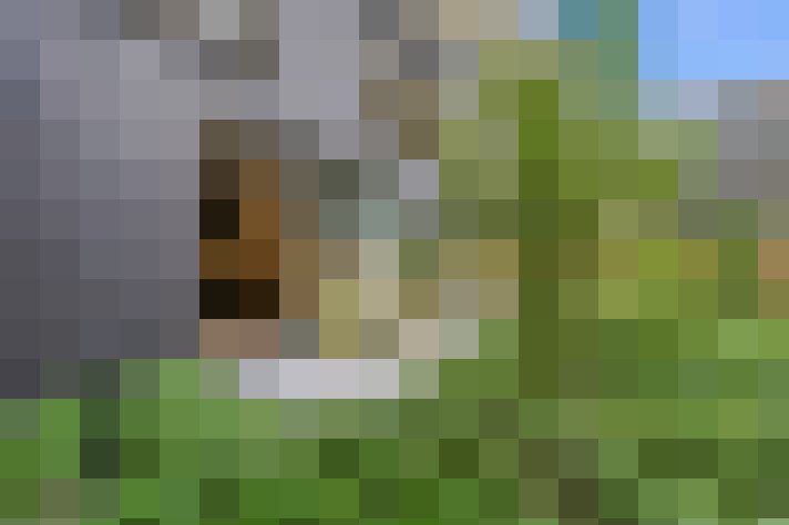  / #7
