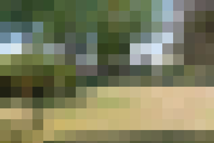  / #20