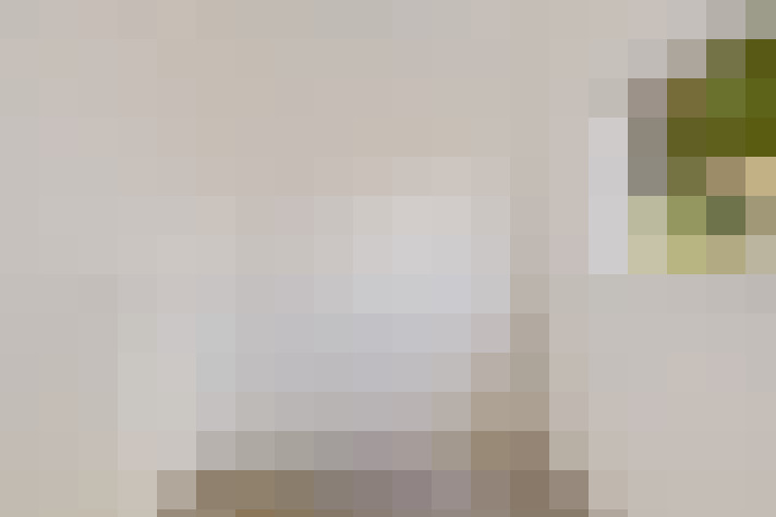  / #19