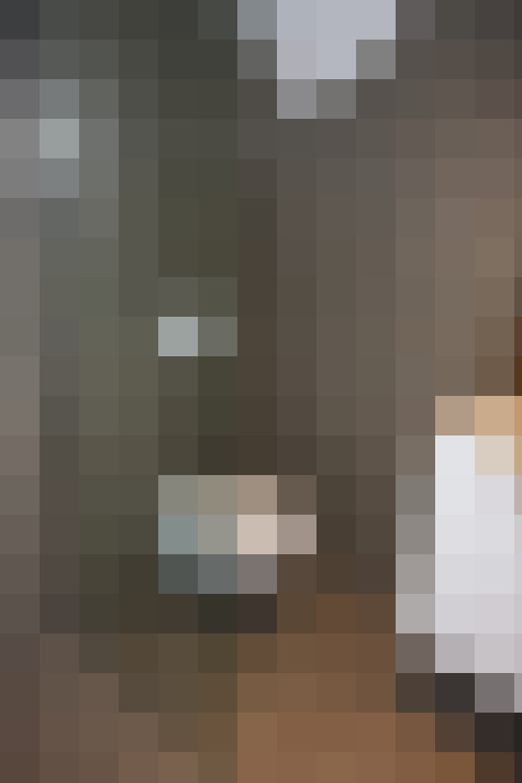  / #19